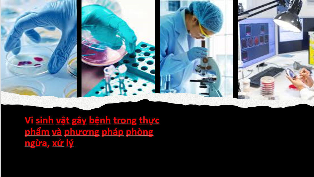 Vi sinh vật trong thực phẩm-Bài 2